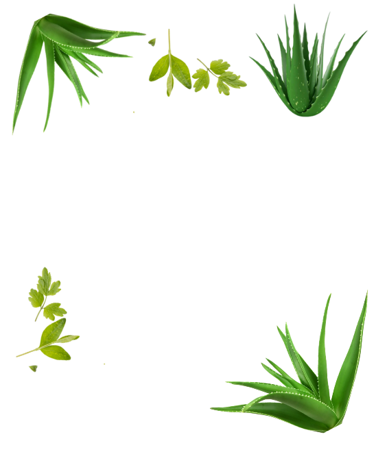 hero image 1